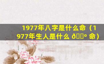 1977年八字是什么命（1977年生人是什么 🐺 命）